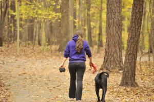 Dog-friendly trails