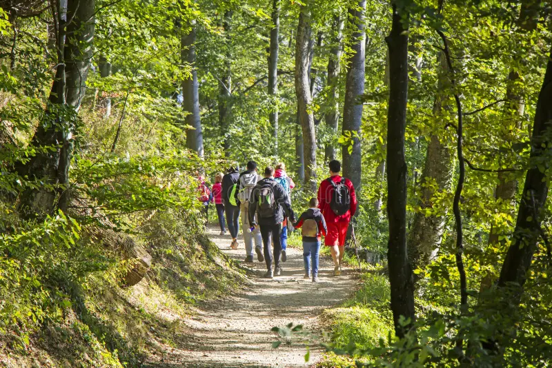 Notestone Reserve